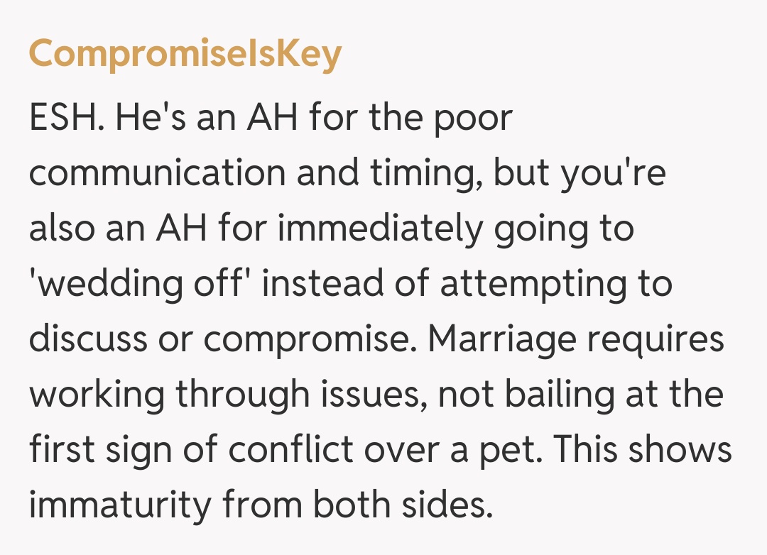 Comentariu de la CompromiseIsKey