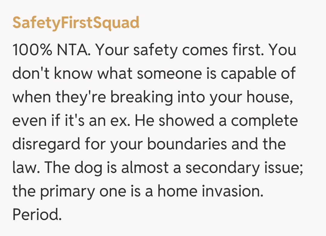 Comentariu de la SafetyFirstSquad