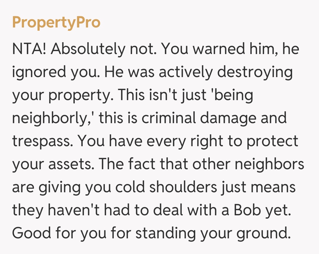 Comentariu de la PropertyPro
