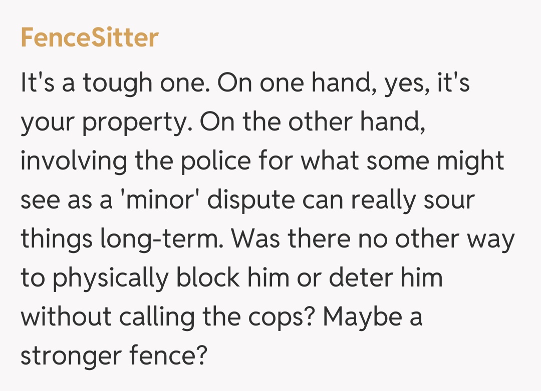 Comentariu de la FenceSitter