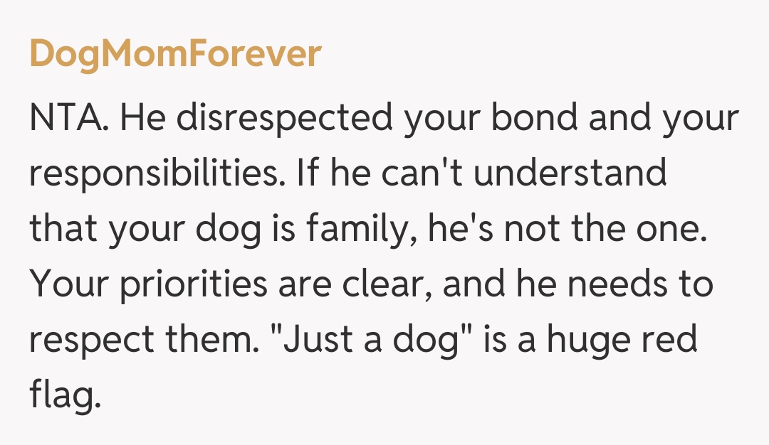 Comentariu de la DogMomForever