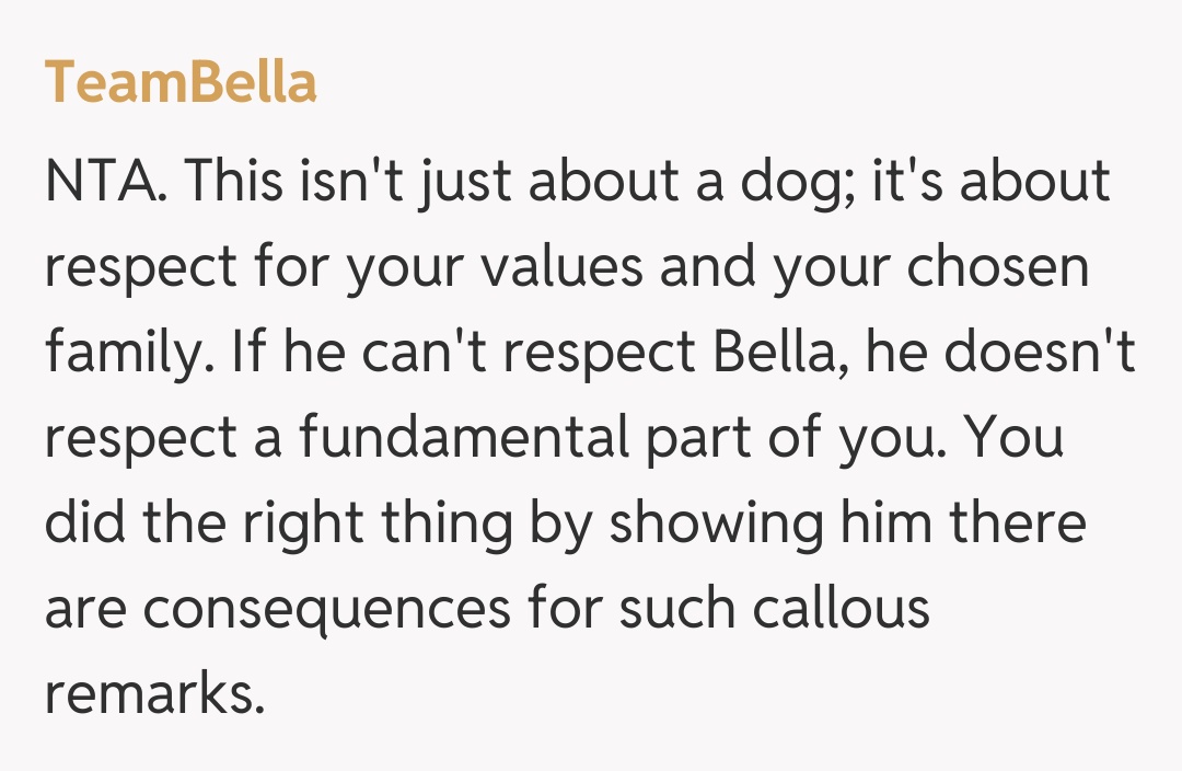 Comentariu de la TeamBella