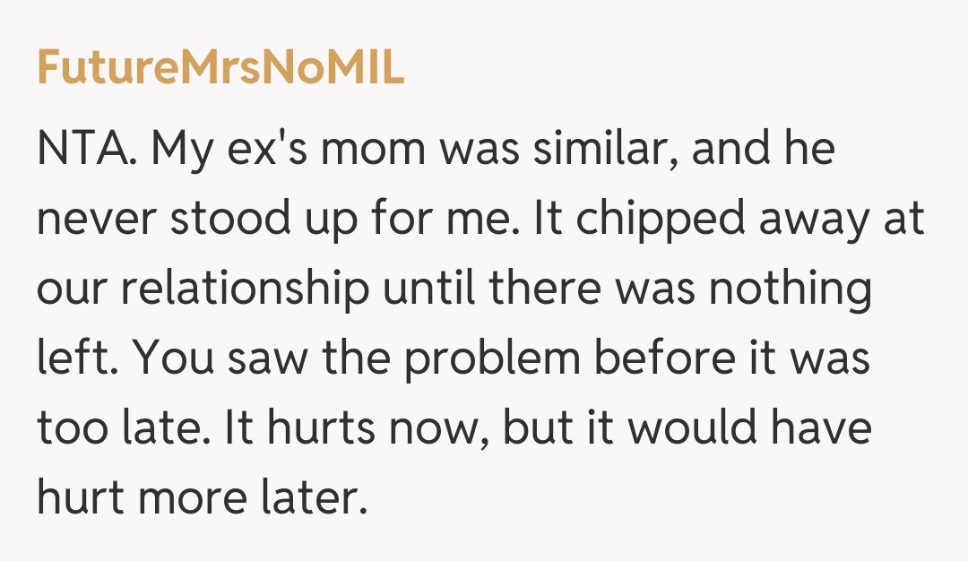 Comentariu de la FutureMrsNoMIL