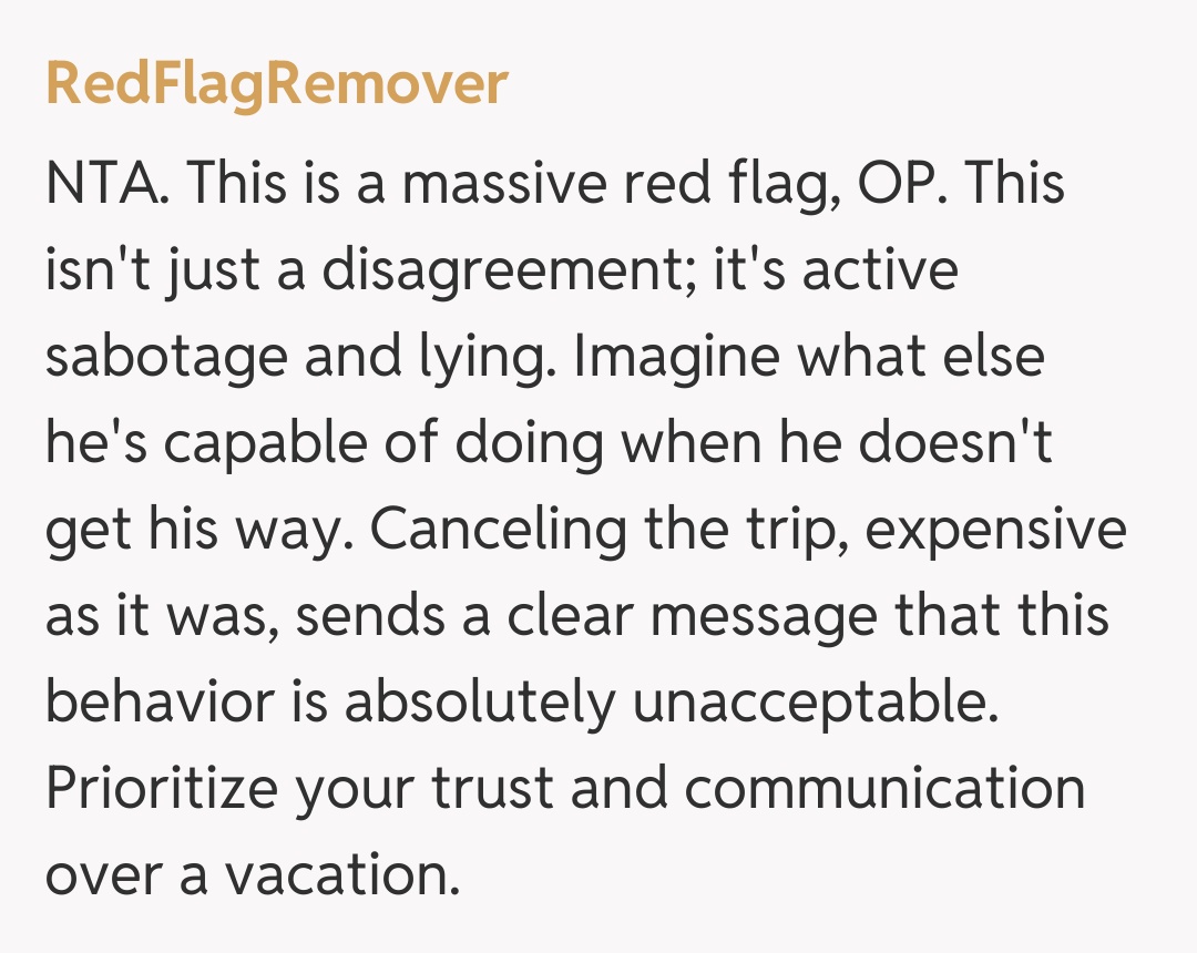 Comentariu de la RedFlagRemover