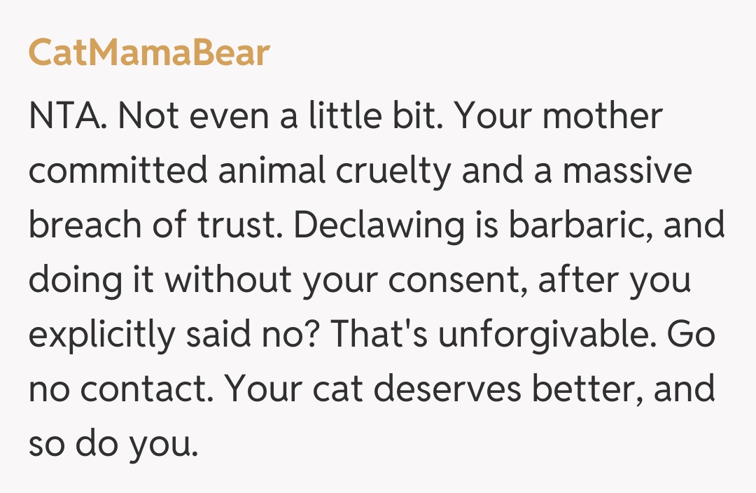 Comentariu de la CatMamaBear