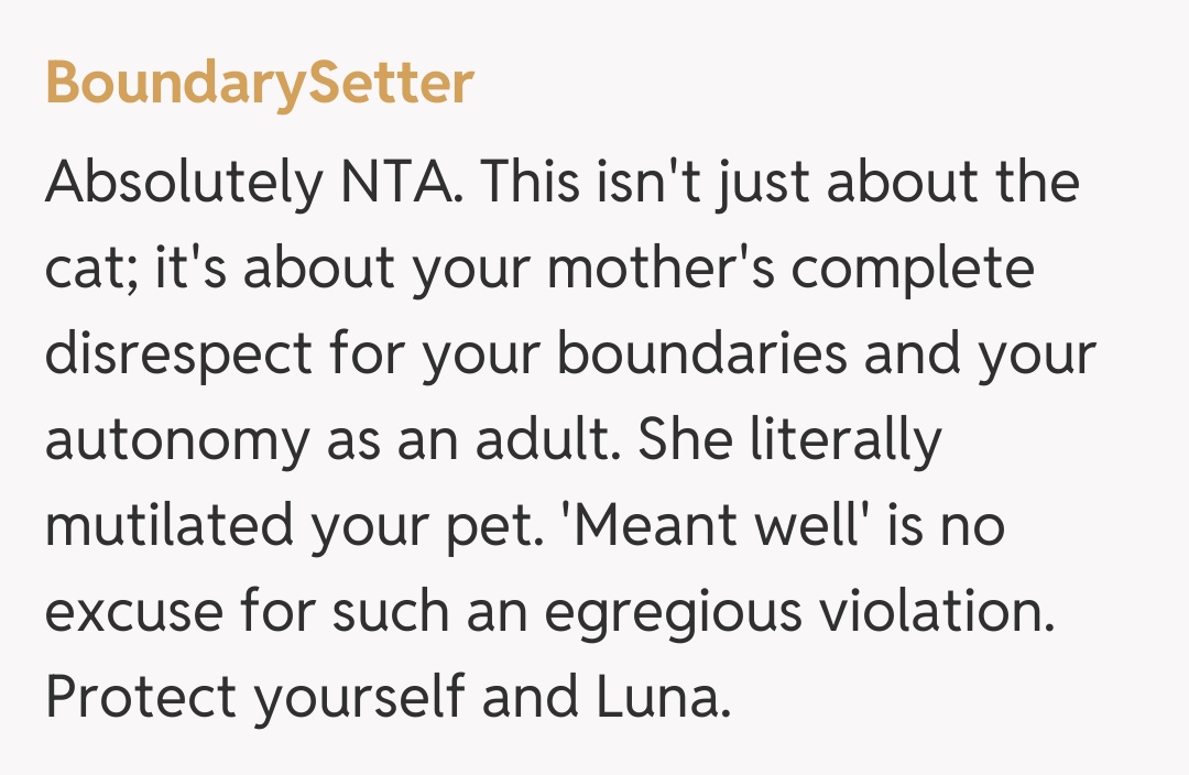 Comentariu de la BoundarySetter