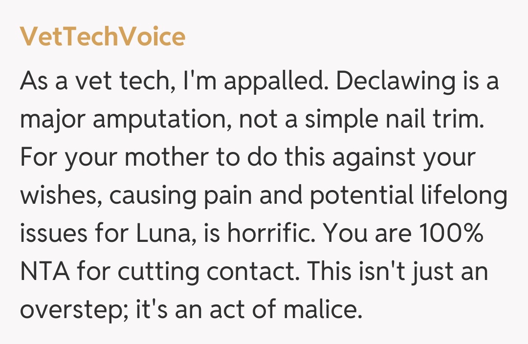 Comentariu de la VetTechVoice