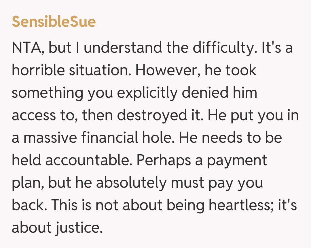 Comentariu de la SensibleSue