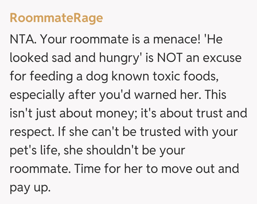 Comentariu de la RoommateRage
