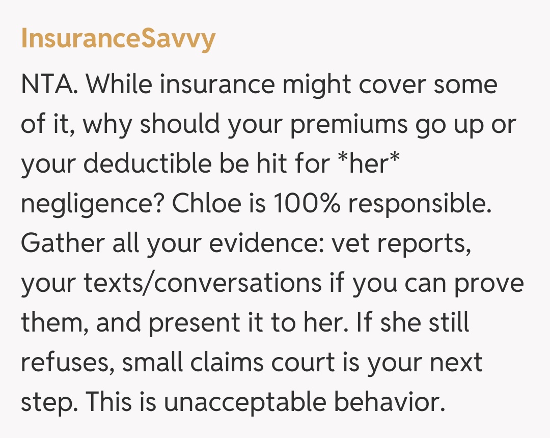 Comentariu de la InsuranceSavvy