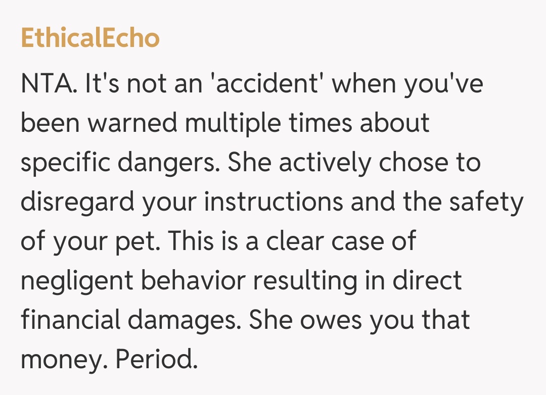 Comentariu de la EthicalEcho