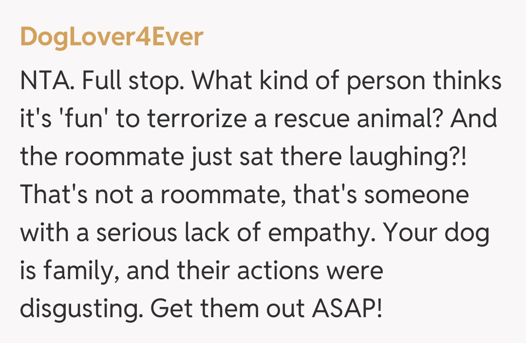 Comentariu de la DogLover4Ever