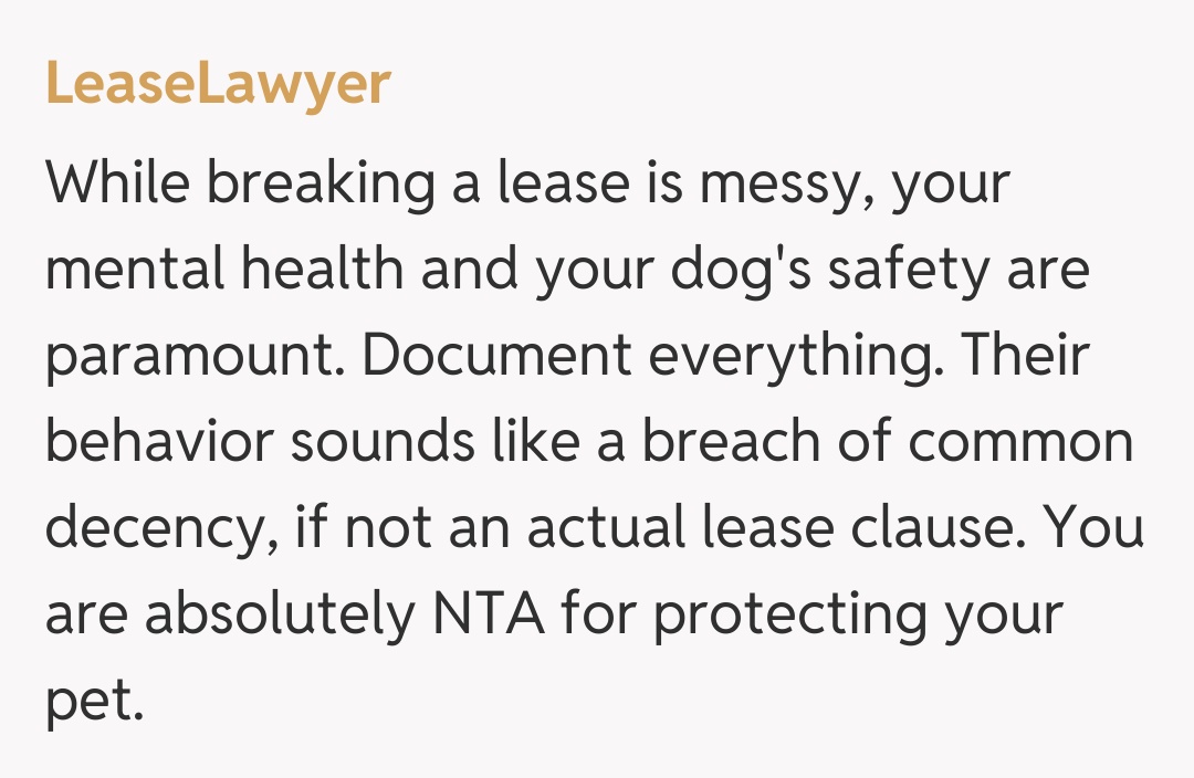 Comentariu de la LeaseLawyer