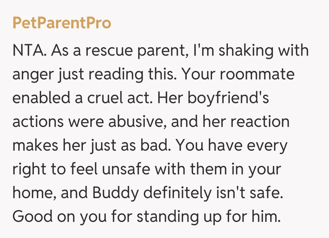 Comentariu de la PetParentPro