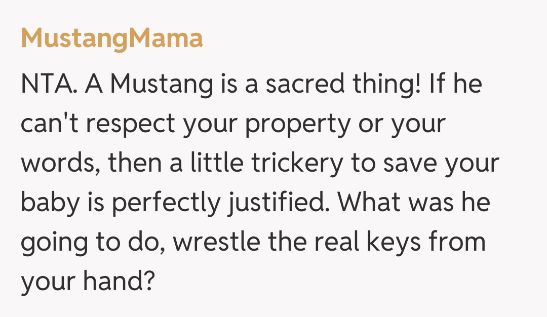 Comentariu de la MustangMama
