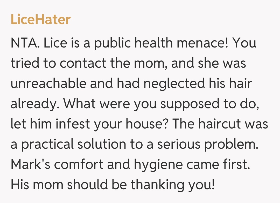 Comentariu de la LiceHater