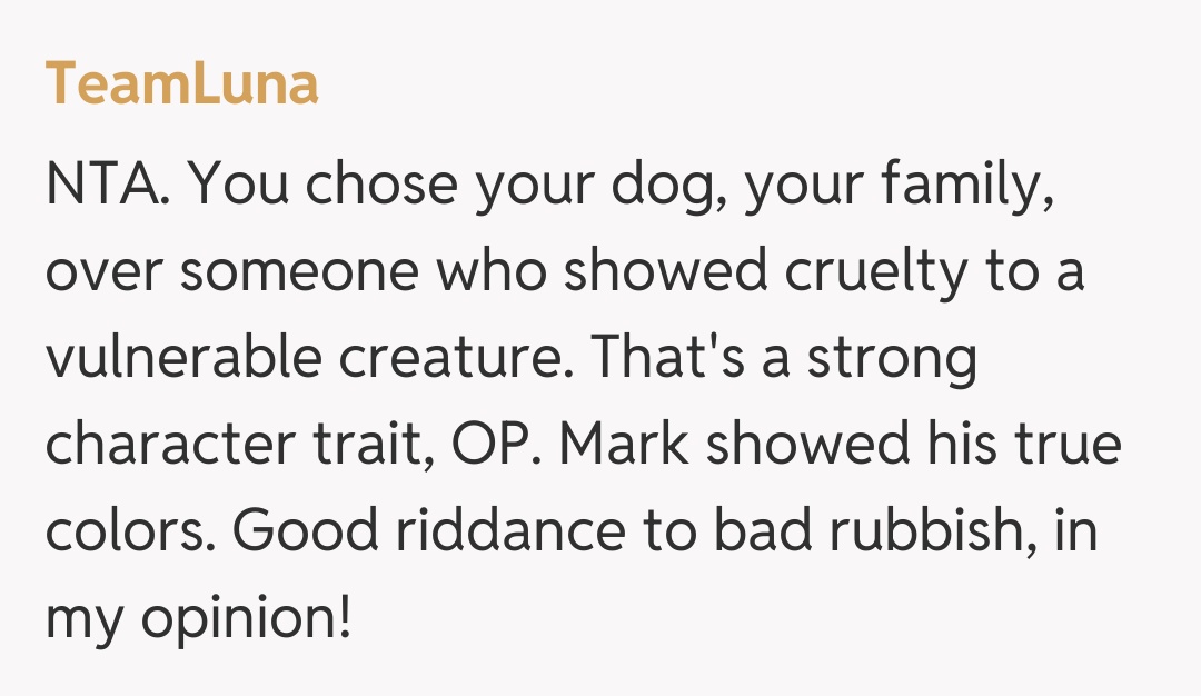 Comentariu de la TeamLuna