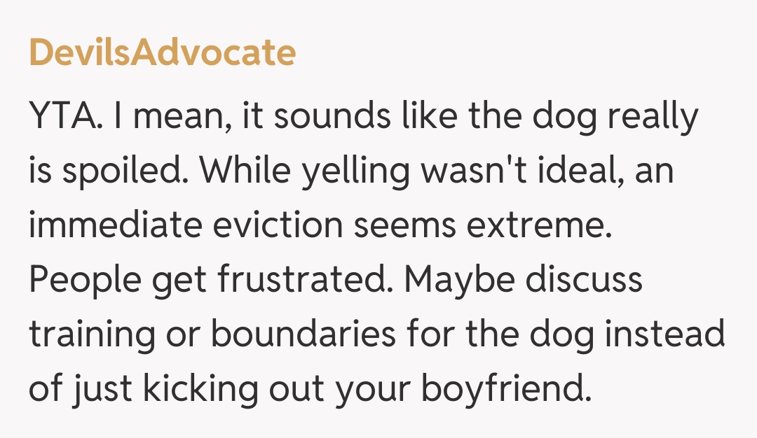 Comentariu de la DevilsAdvocate