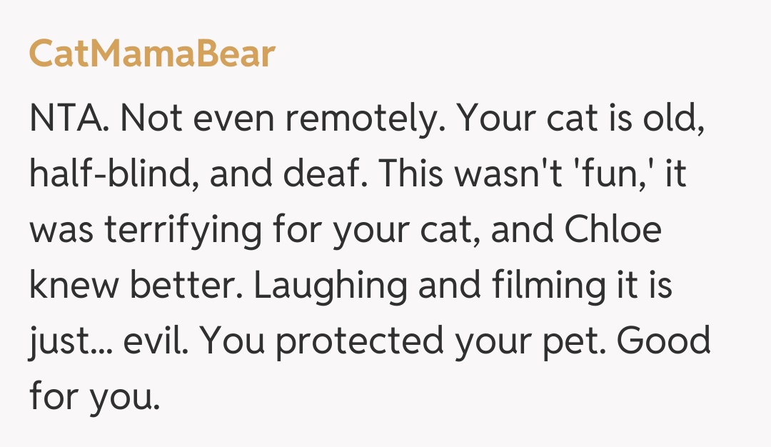 Comentariu de la CatMamaBear