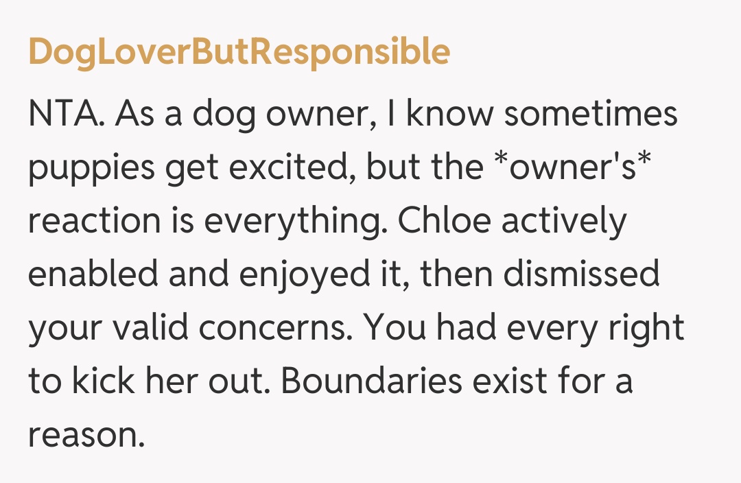 Comentariu de la DogLoverButResponsible