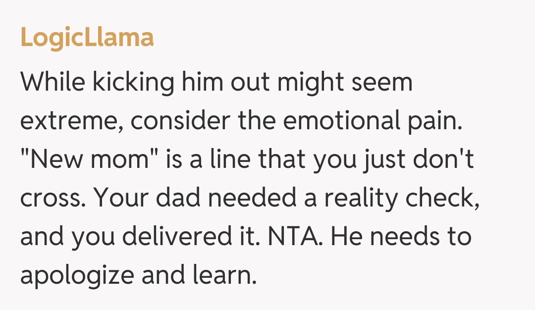 Comentariu de la LogicLlama