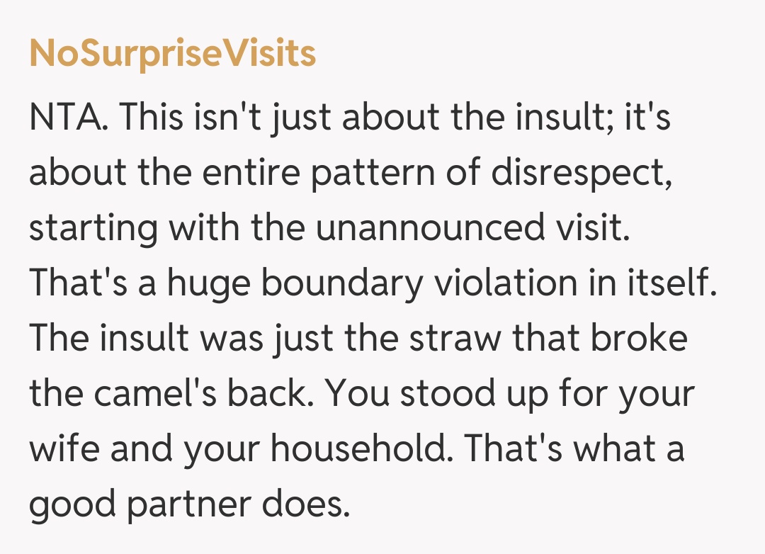 Comentariu de la NoSurpriseVisits