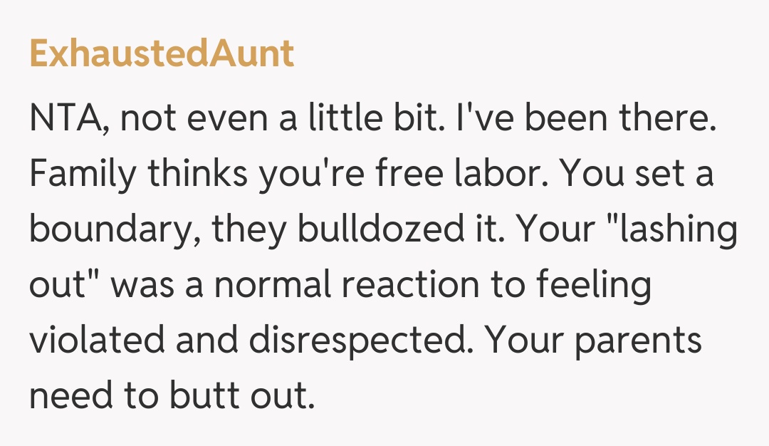 Comentariu de la ExhaustedAunt