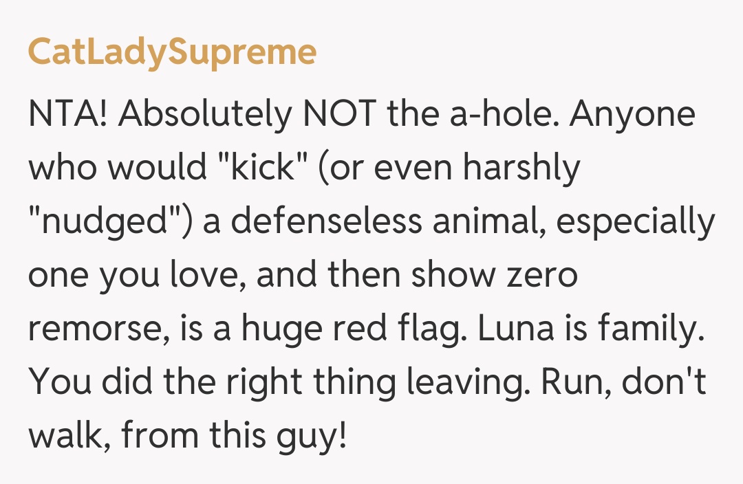 Comentariu de la CatLadySupreme