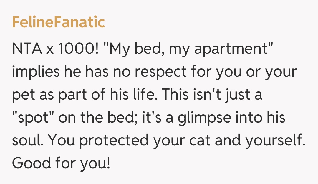 Comentariu de la FelineFanatic