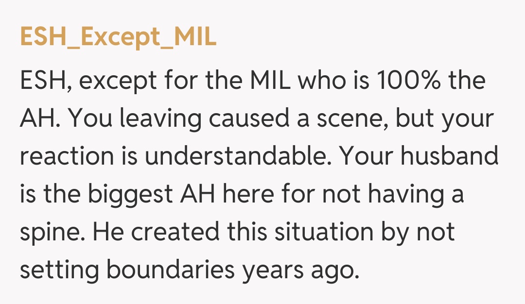 Comentariu de la ESH_Except_MIL