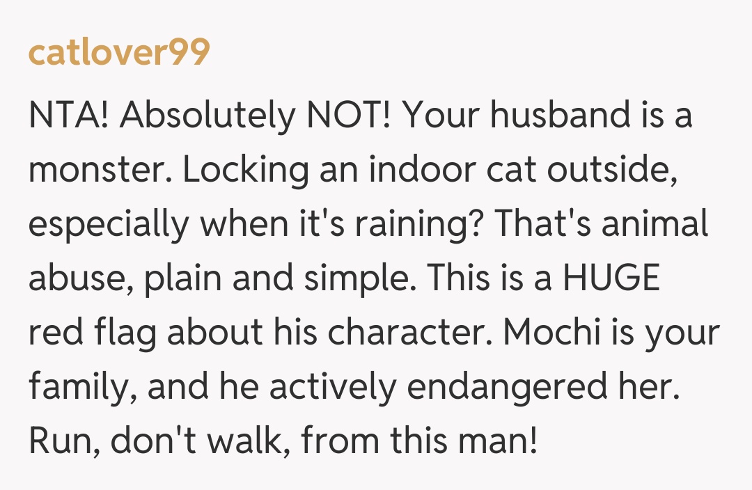 Comentariu de la catlover99