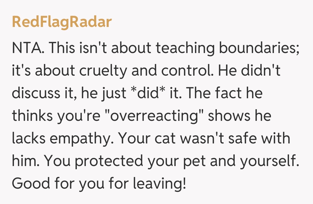 Comentariu de la RedFlagRadar