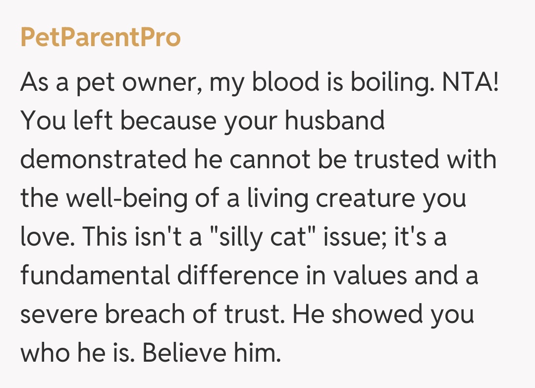 Comentariu de la PetParentPro