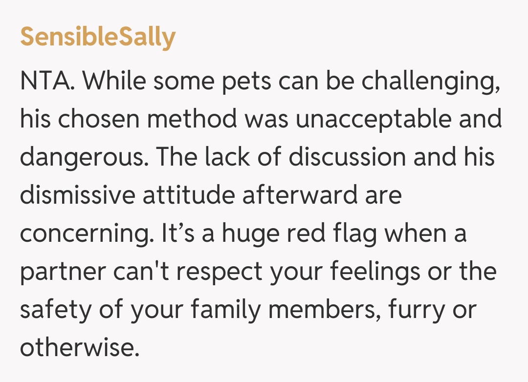 Comentariu de la SensibleSally