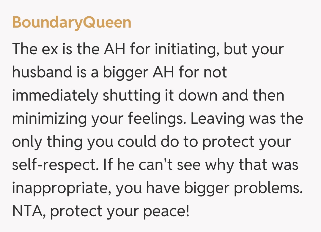 Comentariu de la BoundaryQueen