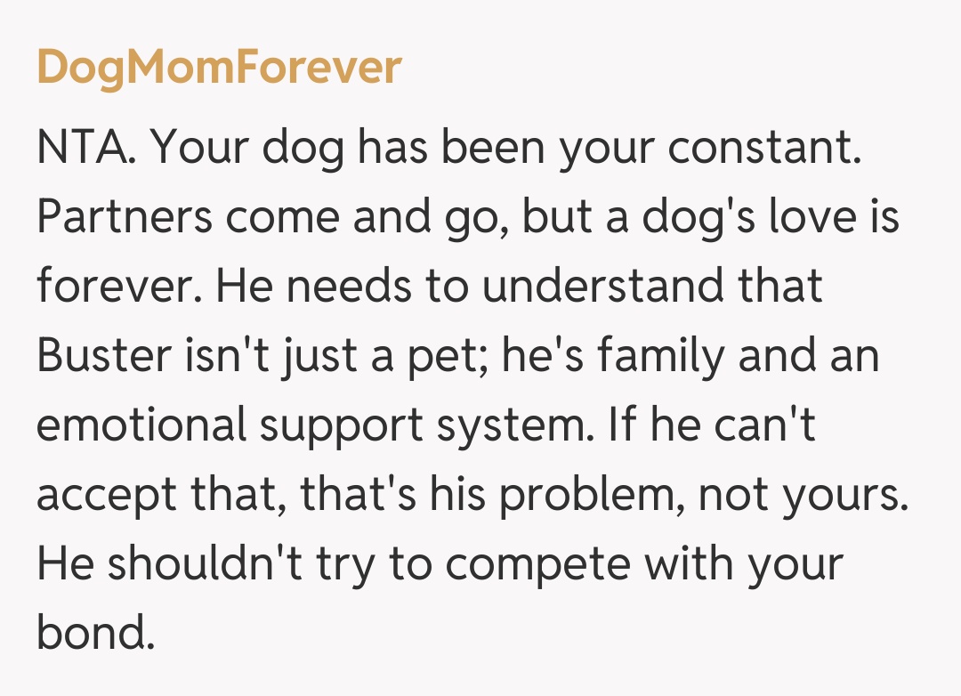 Comentariu de la DogMomForever