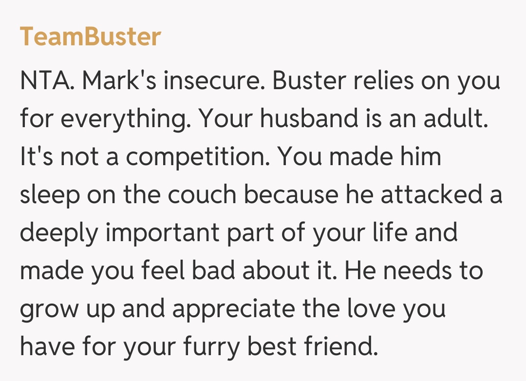 Comentariu de la TeamBuster