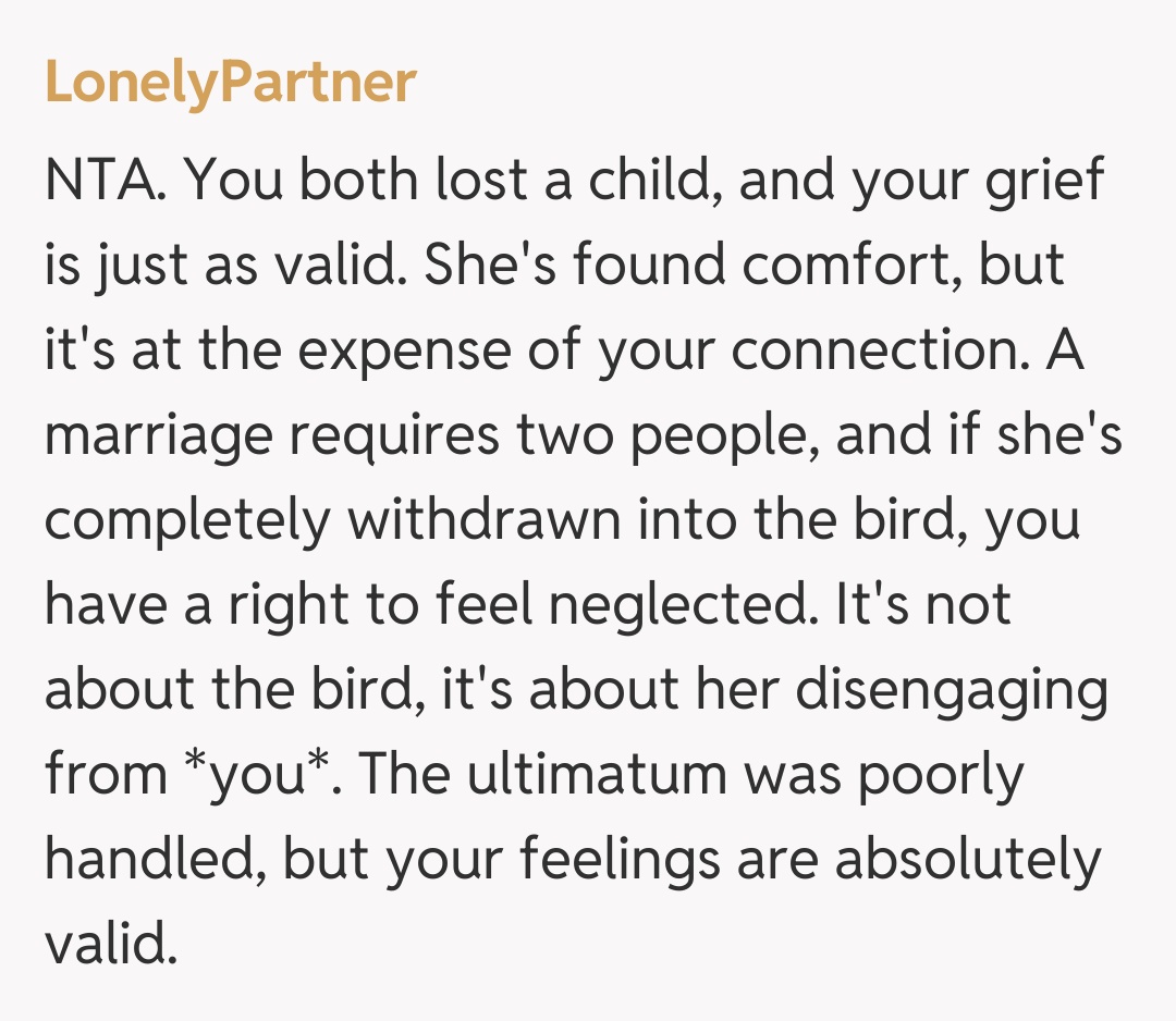 Comentariu de la LonelyPartner