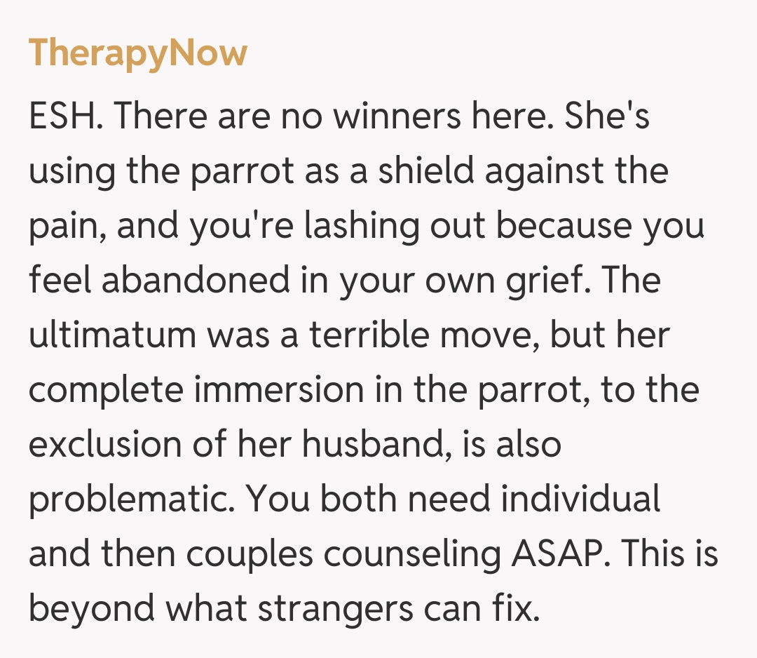 Comentariu de la TherapyNow