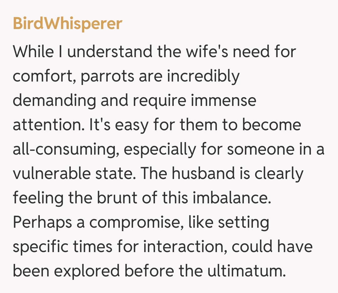 Comentariu de la BirdWhisperer