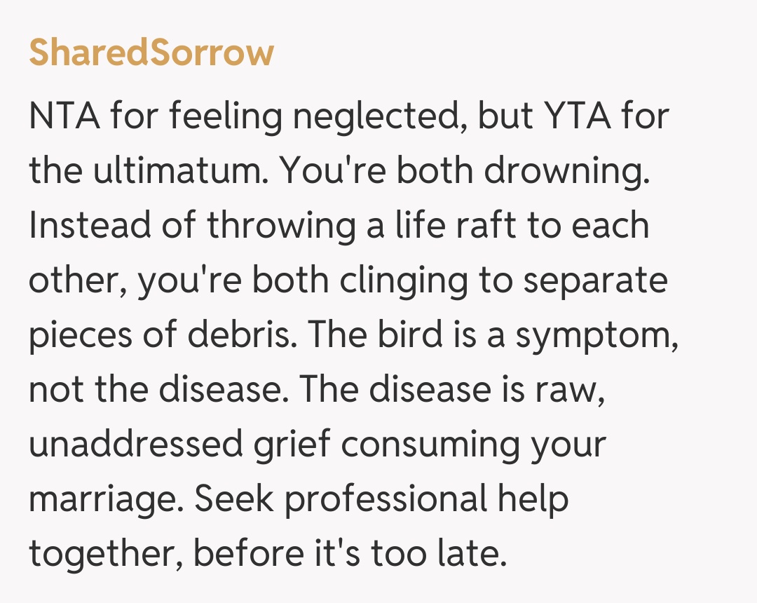 Comentariu de la SharedSorrow