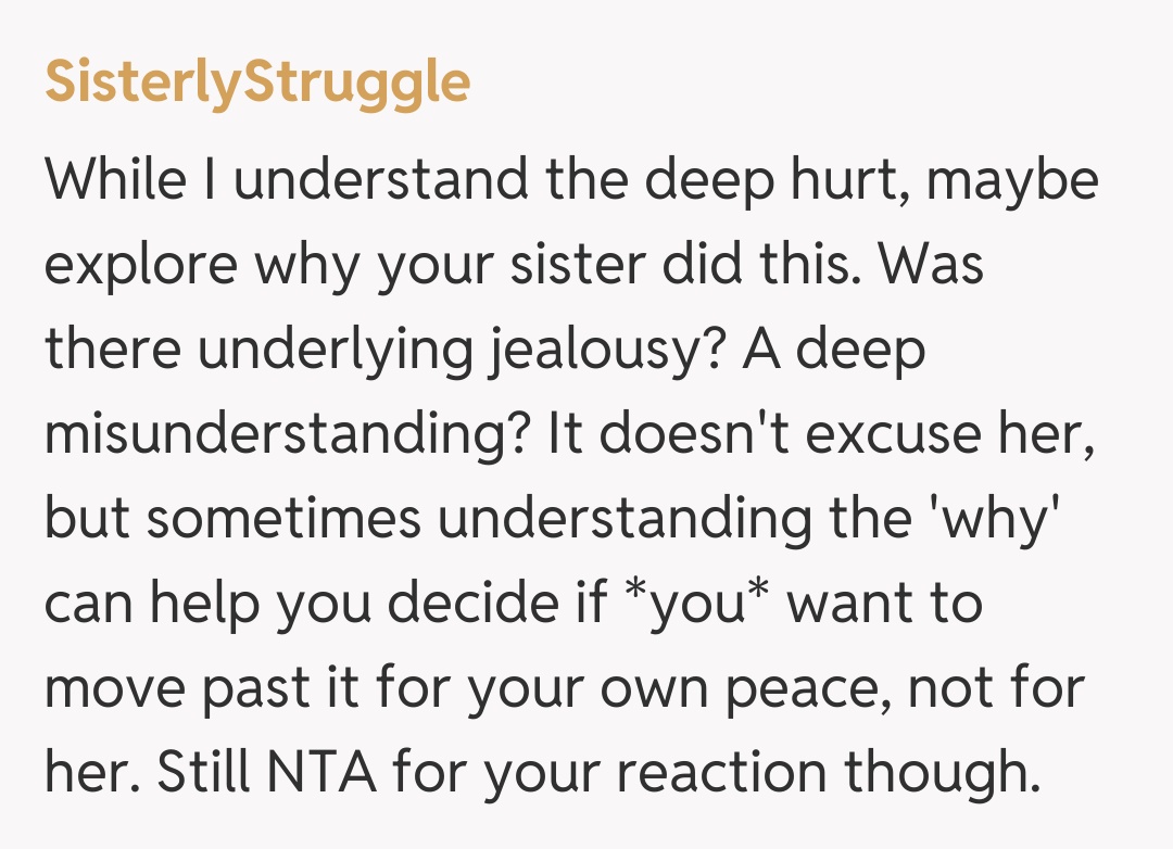 Comentariu de la SisterlyStruggle