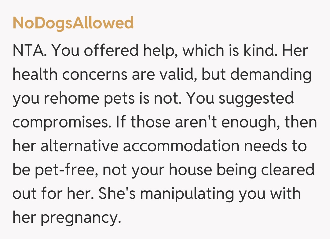 Comentariu de la NoDogsAllowed