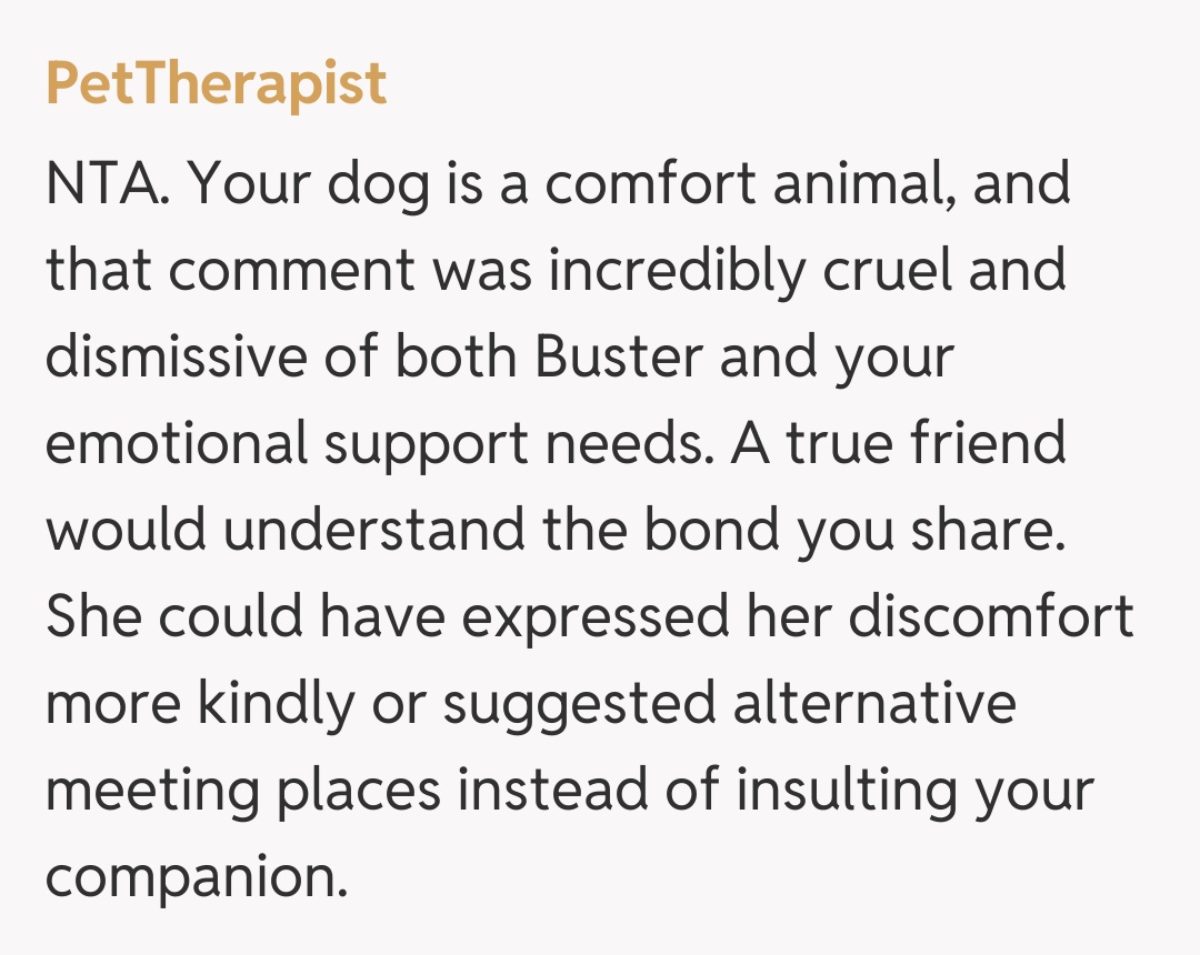 Comentariu de la PetTherapist
