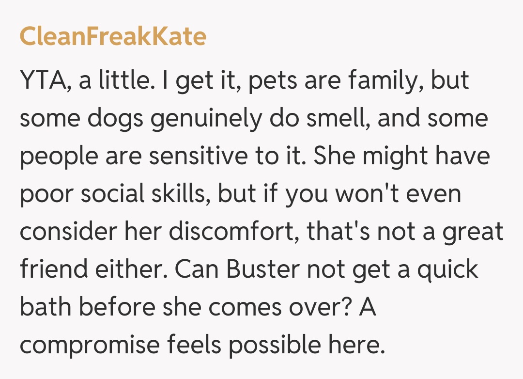 Comentariu de la CleanFreakKate