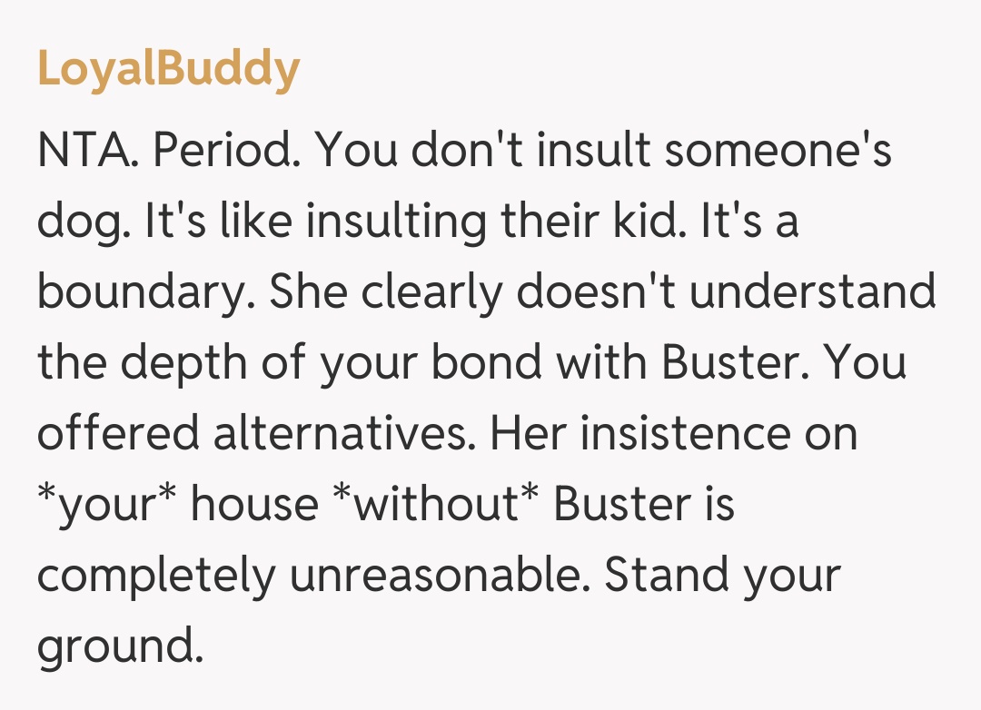 Comentariu de la LoyalBuddy