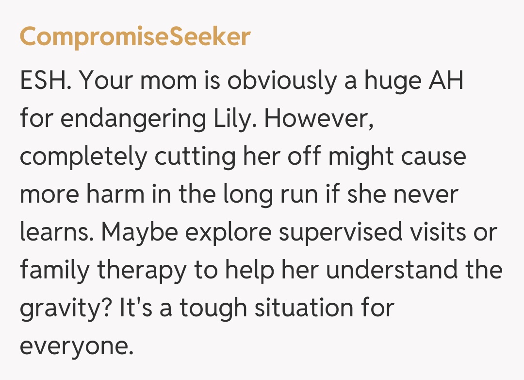 Comentariu de la CompromiseSeeker