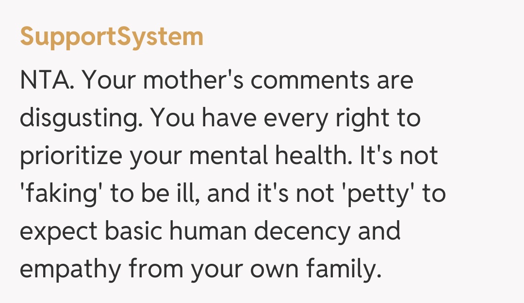 Comentariu de la SupportSystem