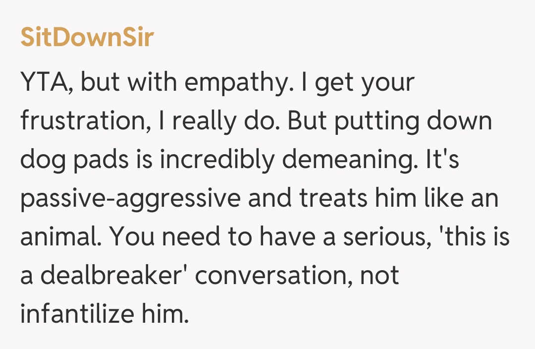 Comentariu de la SitDownSir