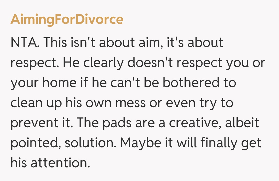 Comentariu de la AimingForDivorce